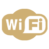 wi-fi100